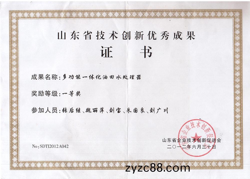 技術(shu)創新(xin)一等(deng)獎(jiang).jpg